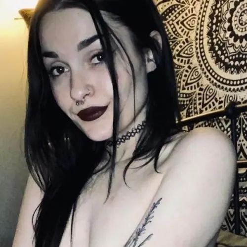 schwarzekatze24 image 0